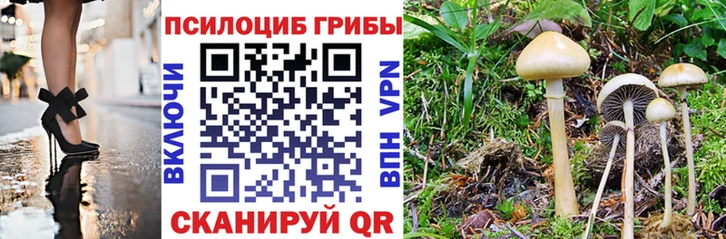 Галлюциногенные грибы GOLDEN TEACHER  дарк нет какой сайт  Котовск 