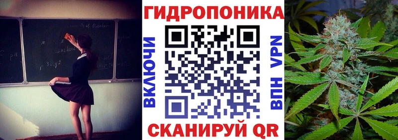 хочу   Котовск  blacksprut зеркало  МАРИХУАНА сатива 